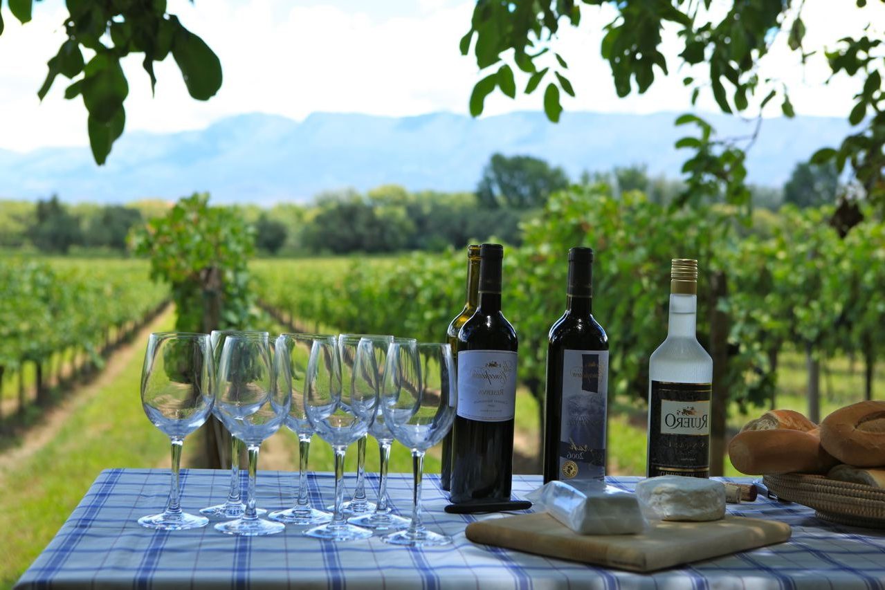 Vinos de Tarija